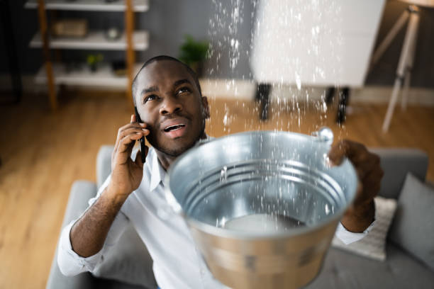 Best Water damage restoration near me  in Palatka, FL