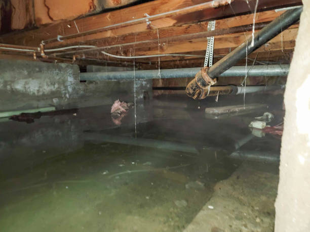 Best Emergency water damage restoration  in Palatka, FL