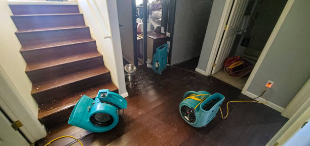 Best Water damage cleanup near me  in Palatka, FL