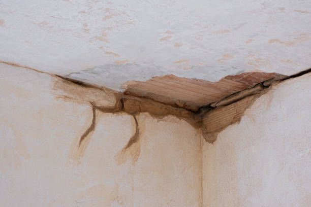 Water damage restoration experts in Palatka, FL