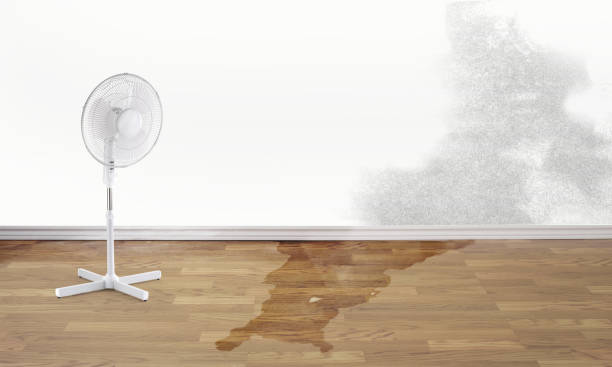 Water damage restoration process in Palatka, FL