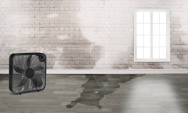 Best Residential water damage restoration  in Palatka, FL