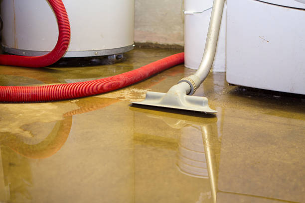 Best Water damage restoration near me  in Palatka, FL