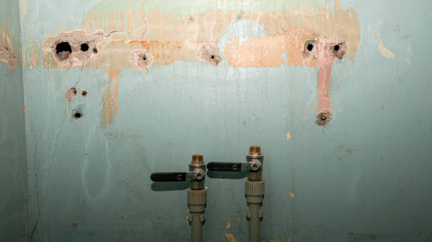 Professional Water damage restoration in Palatka, FL