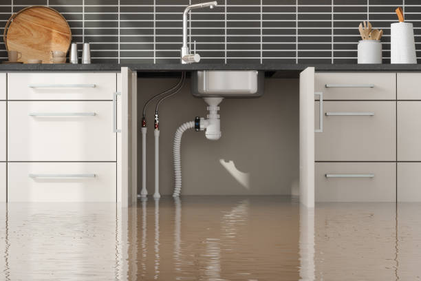 Best 24/7 water damage repair  in Palatka, FL