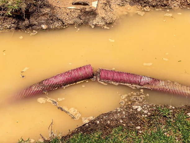  Palatka, FL Water damage restoration Pros